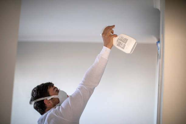 Office Mold Removal Services in Chetek, WI