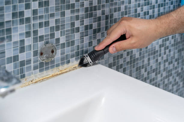 Best Fast Mold Removal  in Chetek, WI