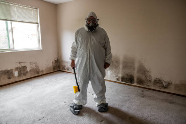 Best Emergency Mold Removal  in Chetek, WI
